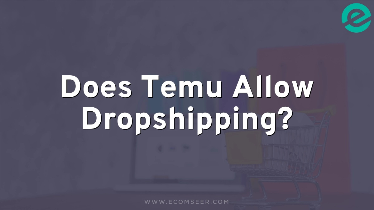 Does Temu Allow Dropshipping?