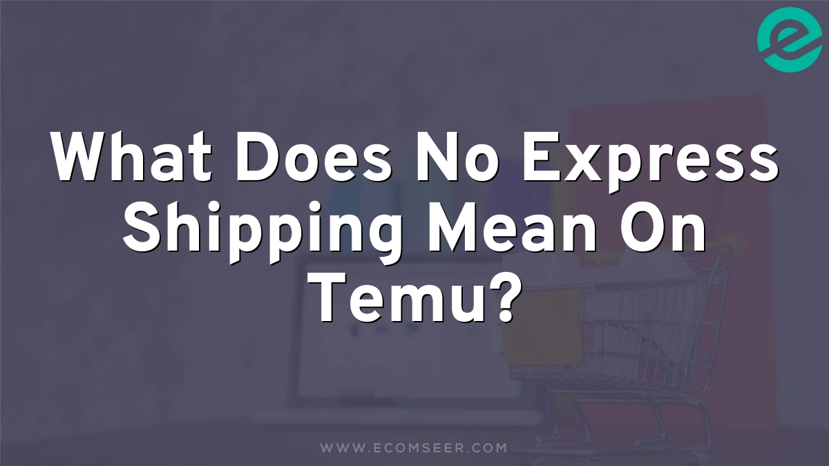 What Does No Express Shipping Mean On Temu?